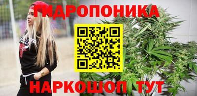 spice Заводоуковск