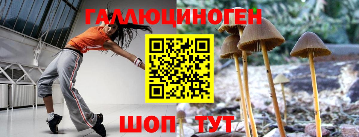 Псилоцибиновые грибы ЛСД Миллерово